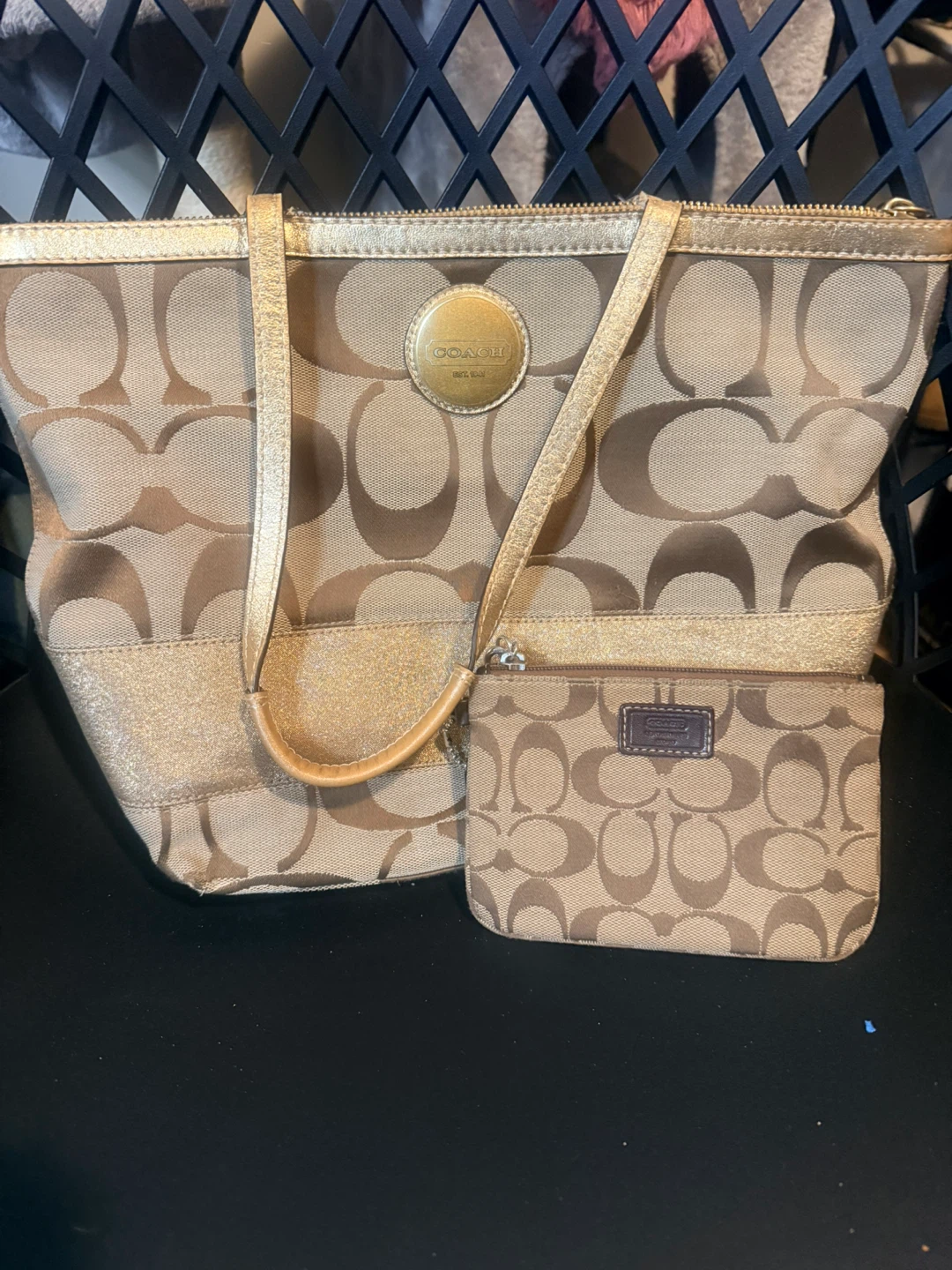 Coach Signature Tote Bag with Wristlet