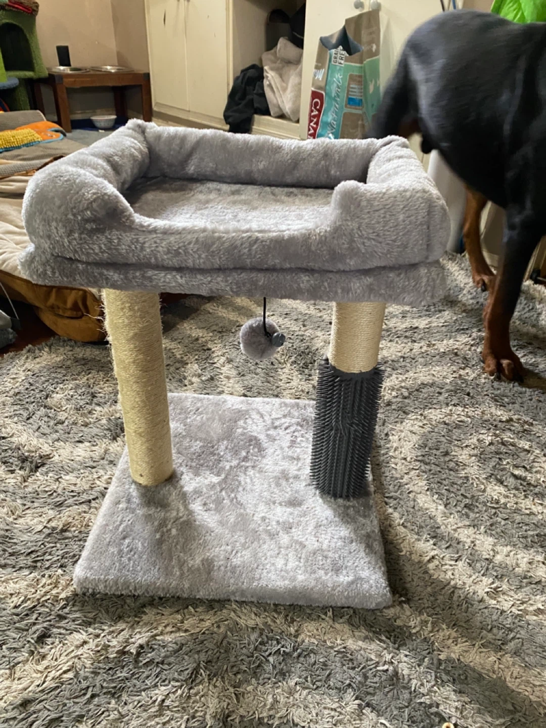 Grey Pet Scratching Post