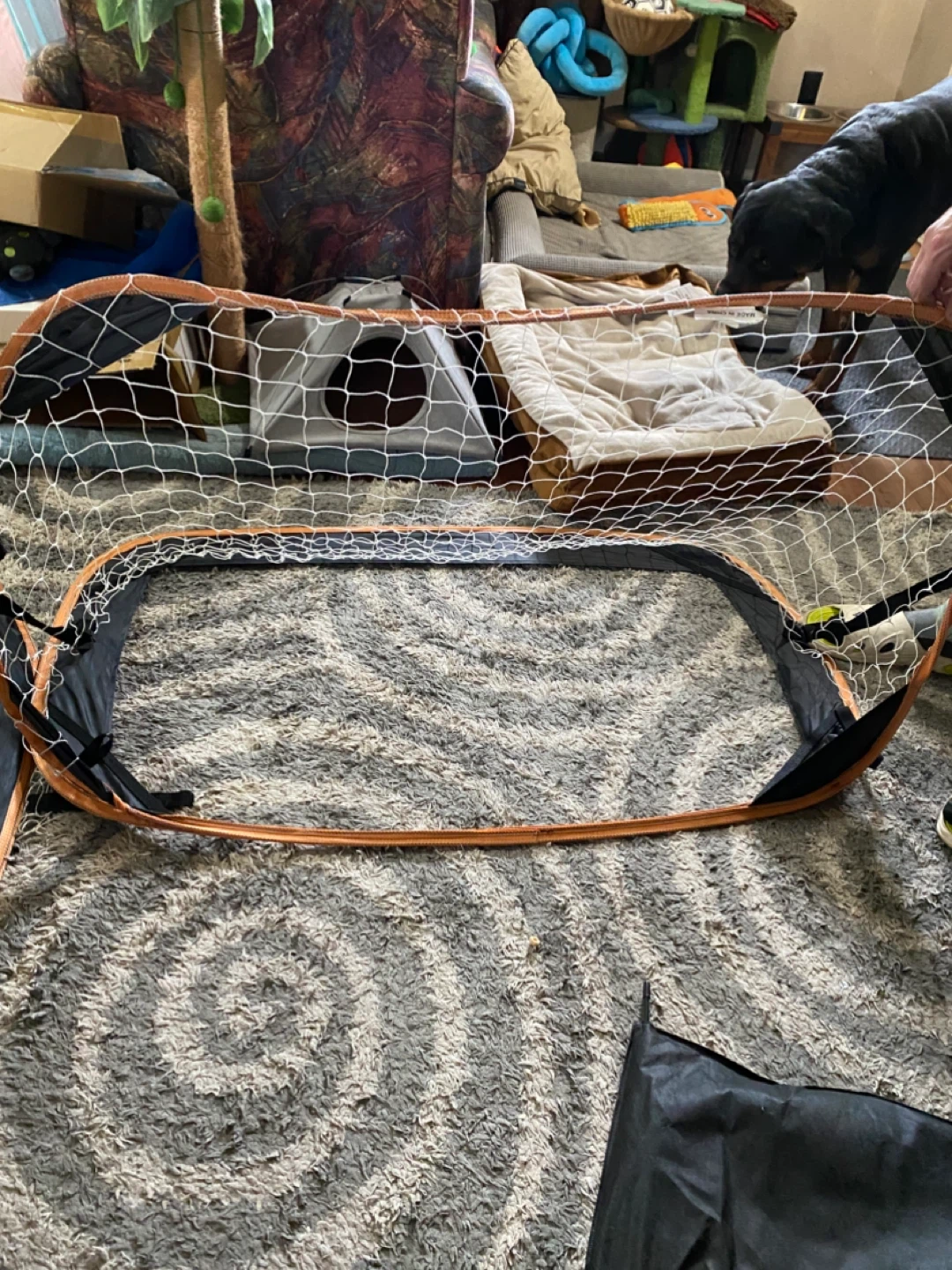 Sports nets