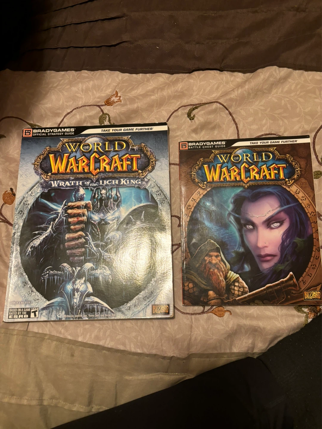 World of Warcraft BradyGames Strategy Guides