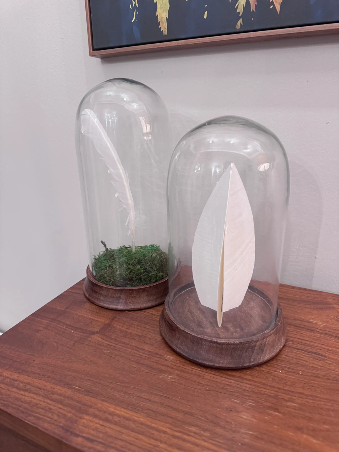 Glass Dome Display Cloches with Wooden Bases (Set of 2) - photo 3