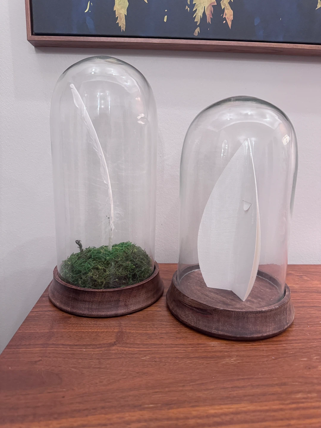 Glass Dome Display Cloches with Wooden Bases (Set of 2) - photo 2