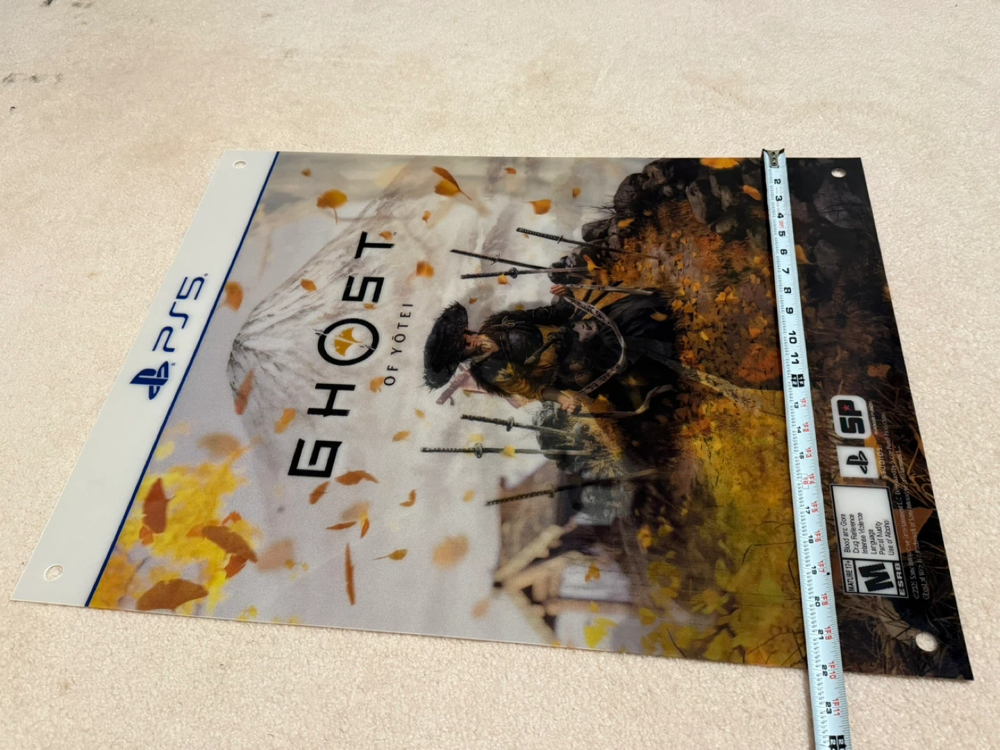 Ghost of Tsushima Director's Cut PS5 Clear Display Panel - photo 4