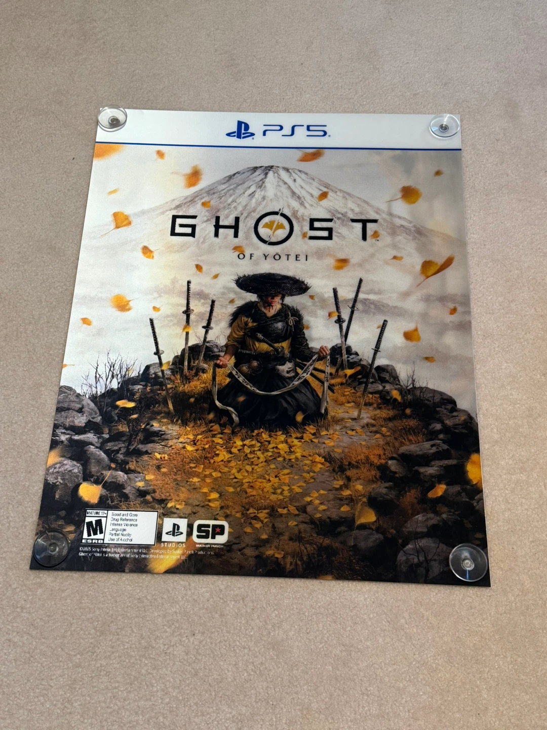 Ghost of Tsushima Director's Cut PS5 Clear Display Panel