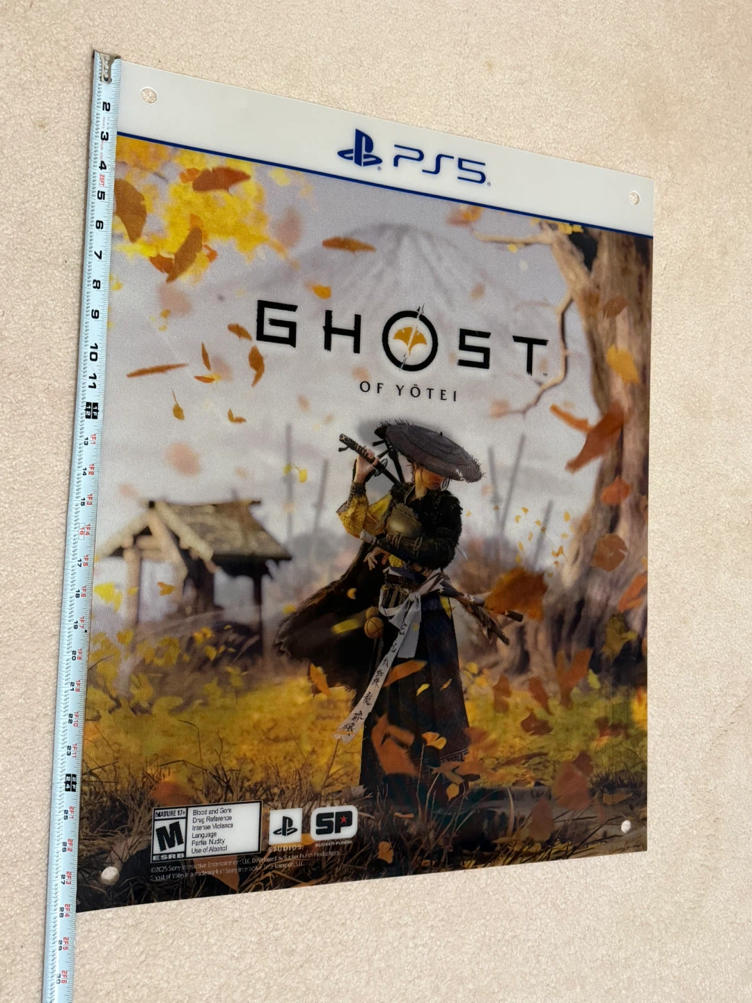 Ghost of Tsushima Director's Cut PS5 Clear Display Panel - photo 3