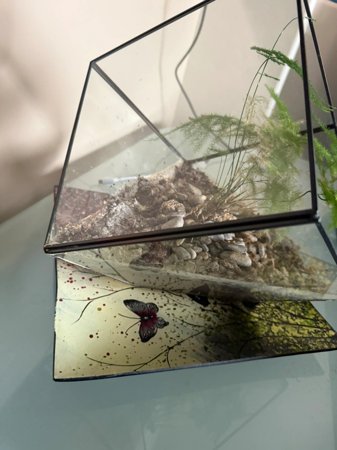 Glass Geometric Terrarium with Plants - photo 5