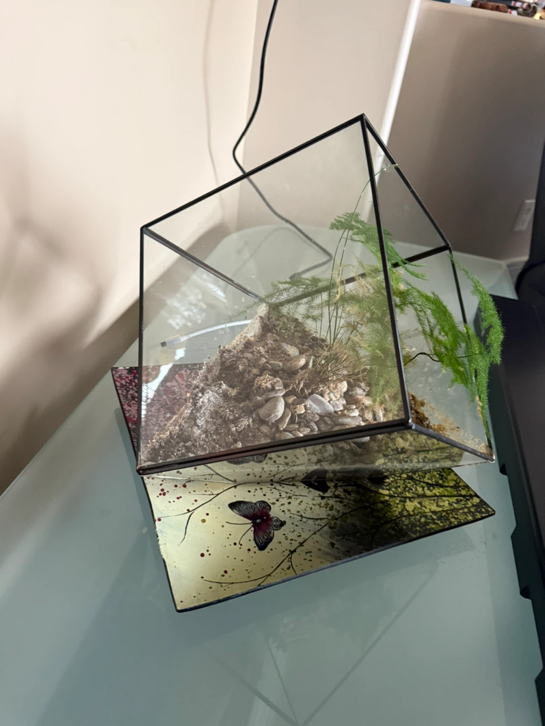 Glass Geometric Terrarium with Plants - photo 4
