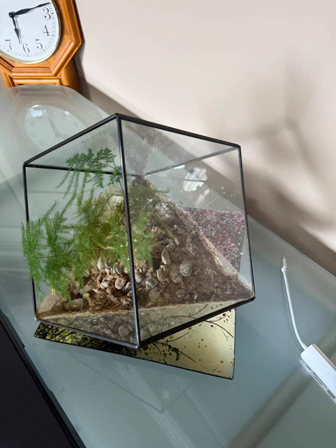 Glass Geometric Terrarium with Plants - photo 3
