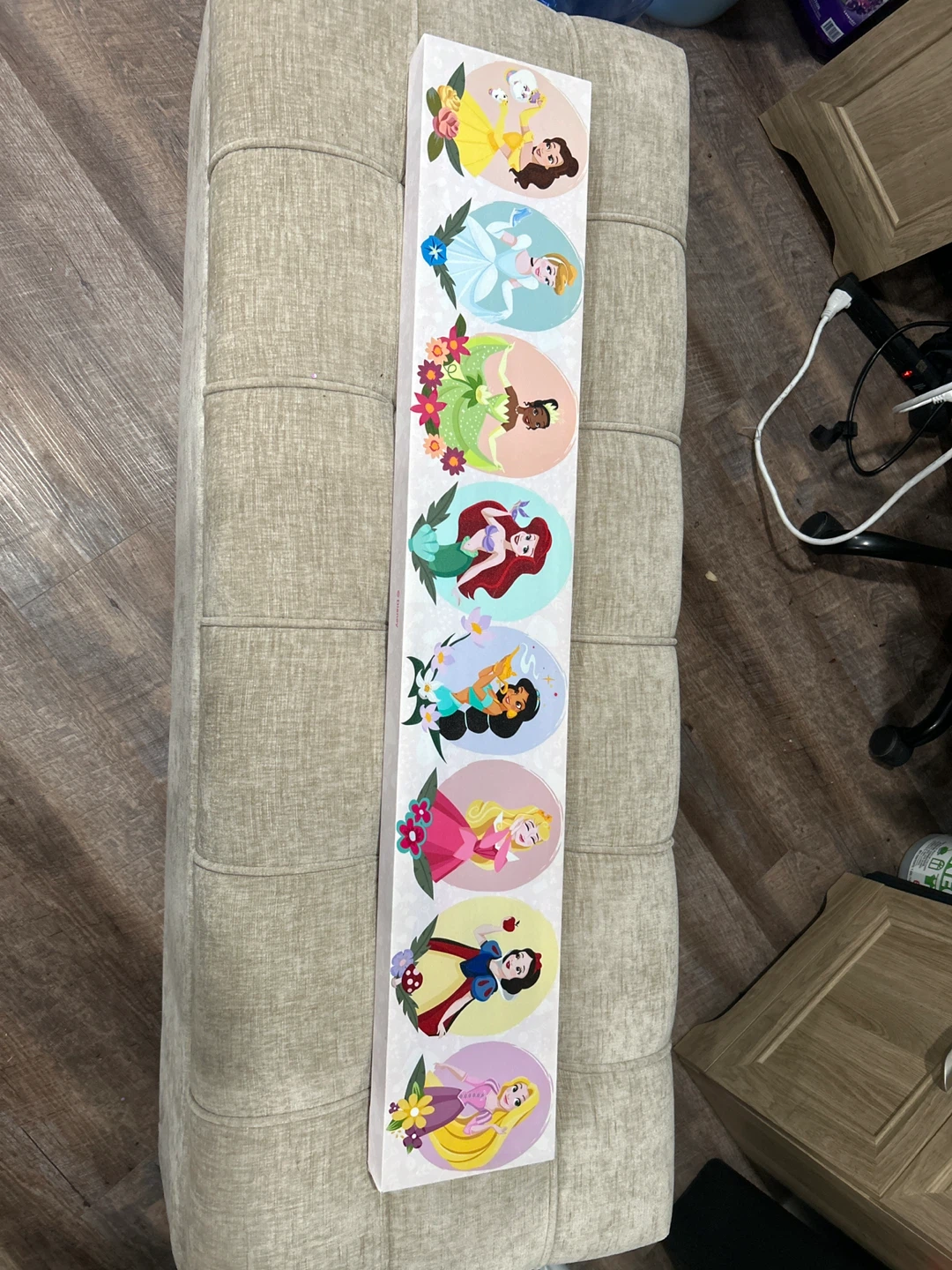 Disney Princesses Canvas Wall Art