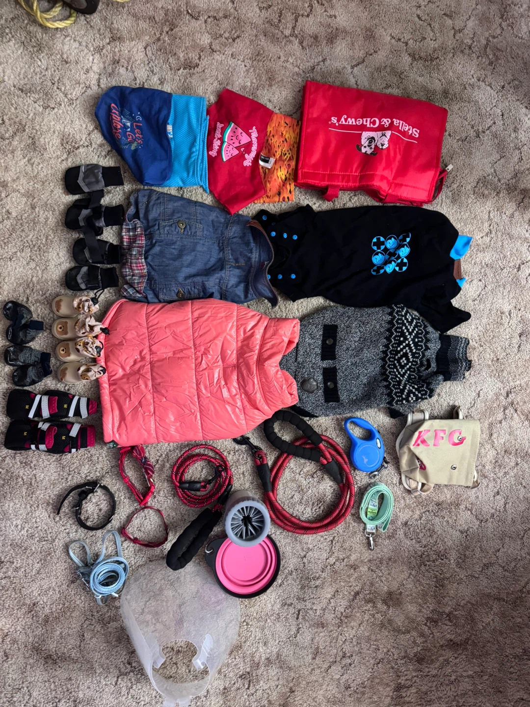 Assorted Pet Accessories and Clothing - photo 2