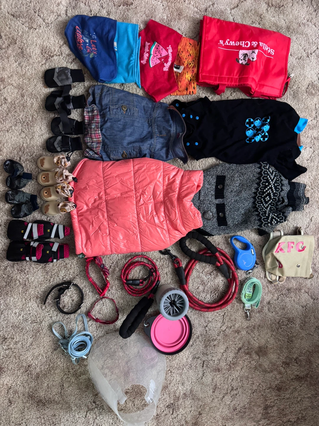 Assorted Pet Accessories and Clothing