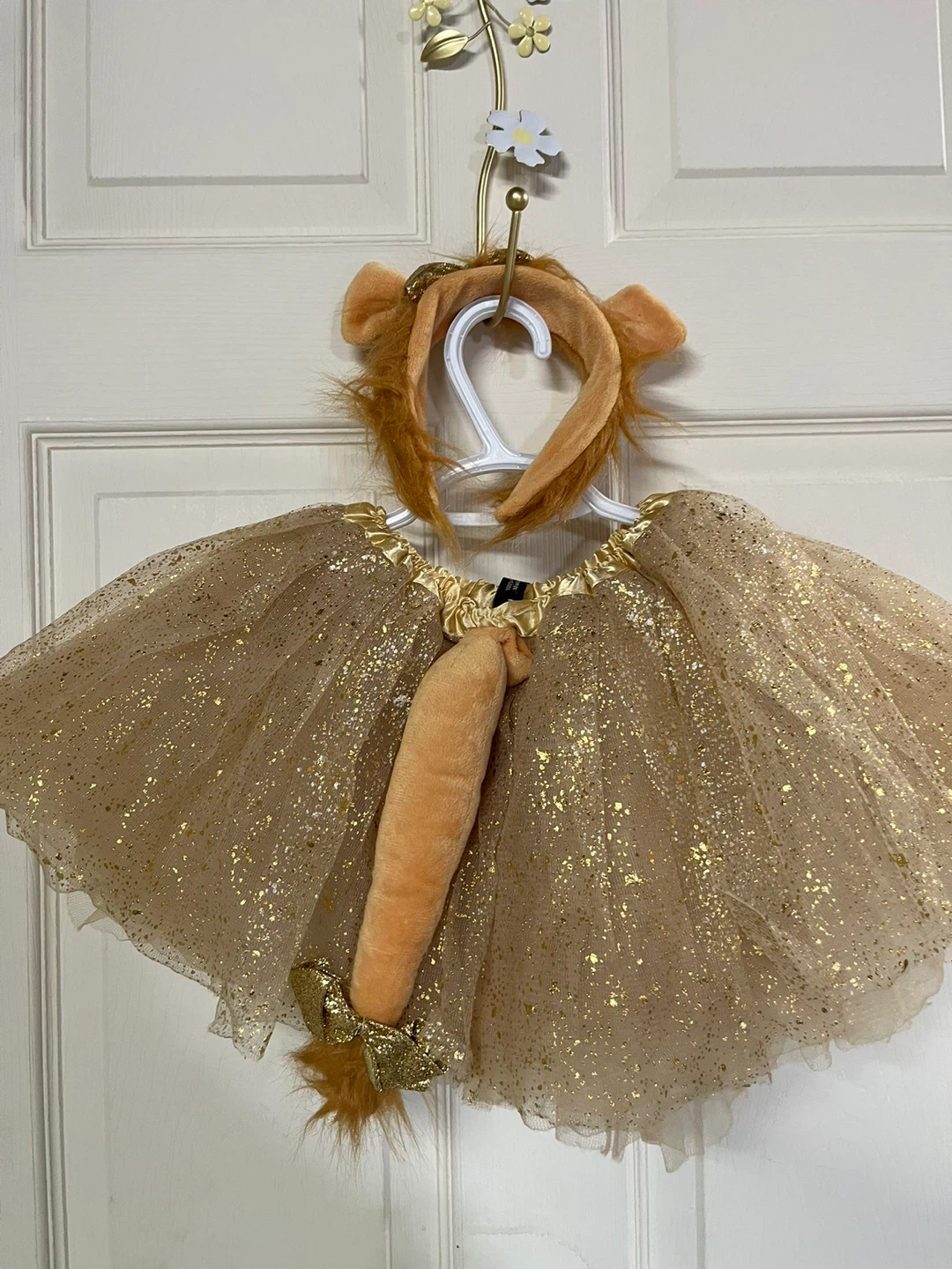 Kids Lion Costume Tutu Set