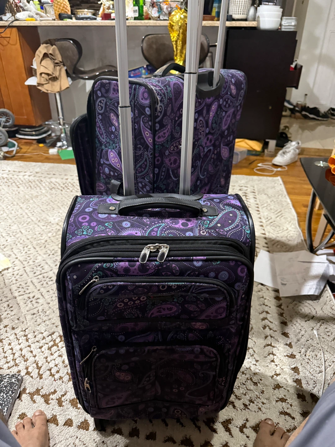 Purple Paisley Rolling Suitcase Set