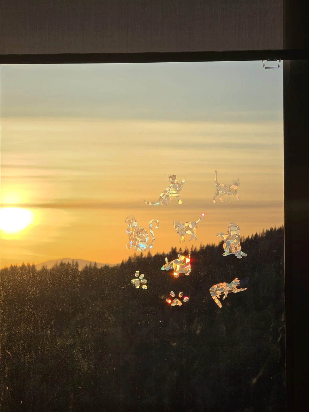 Cat Suncatcher Window Decals - Rainbow Prism (Static Cling) - photo 2