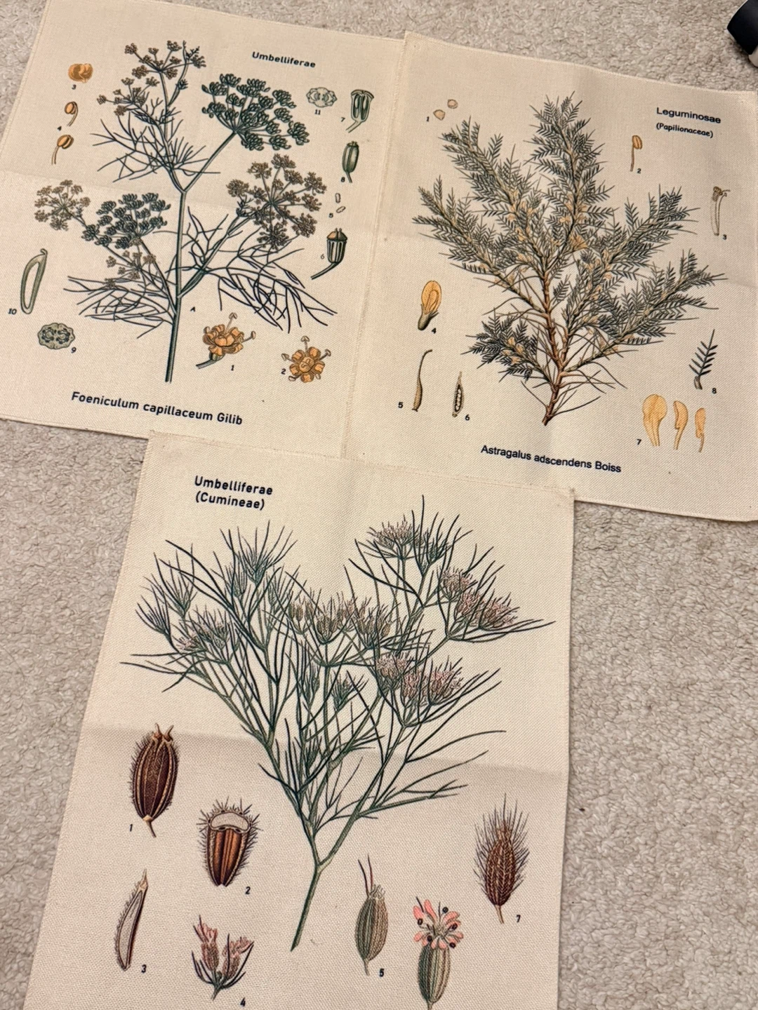 Botanical Tapestry