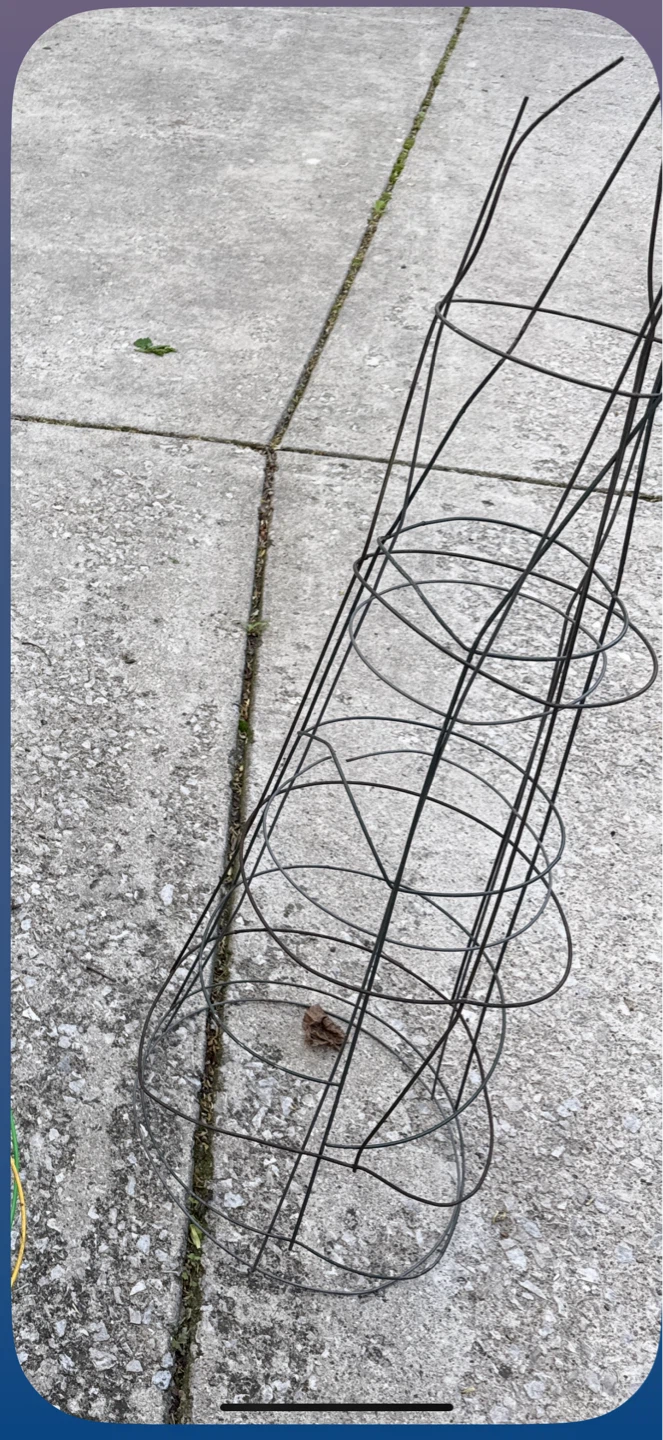 Wire Tomato Cage Plant Support