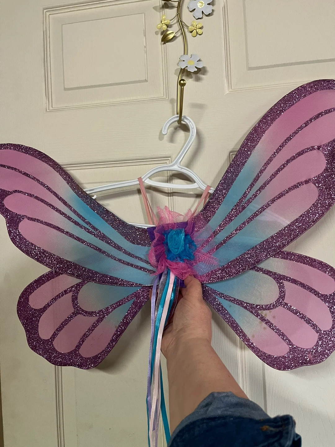 Fairy Wings Costume Accessory