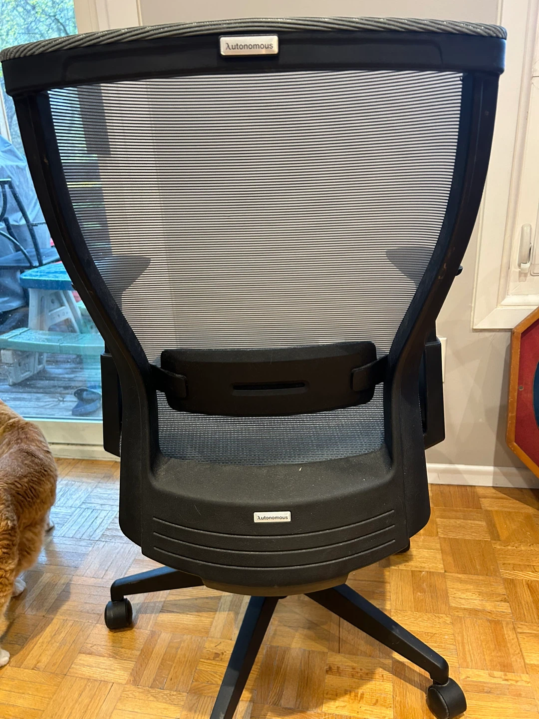 Autonomous Ergonomic Office Chair - photo 2