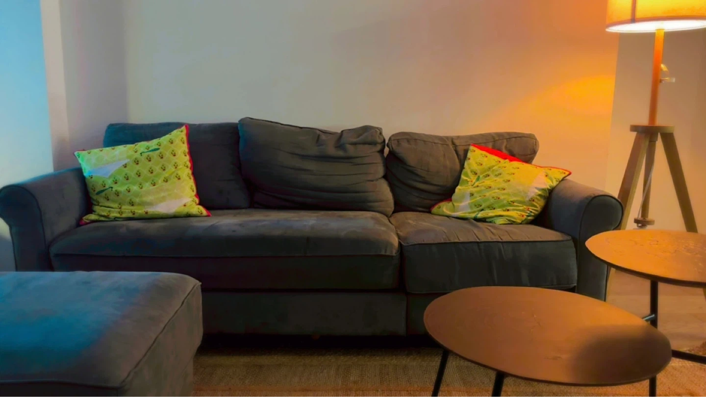 Grey Sofa with Ottoman