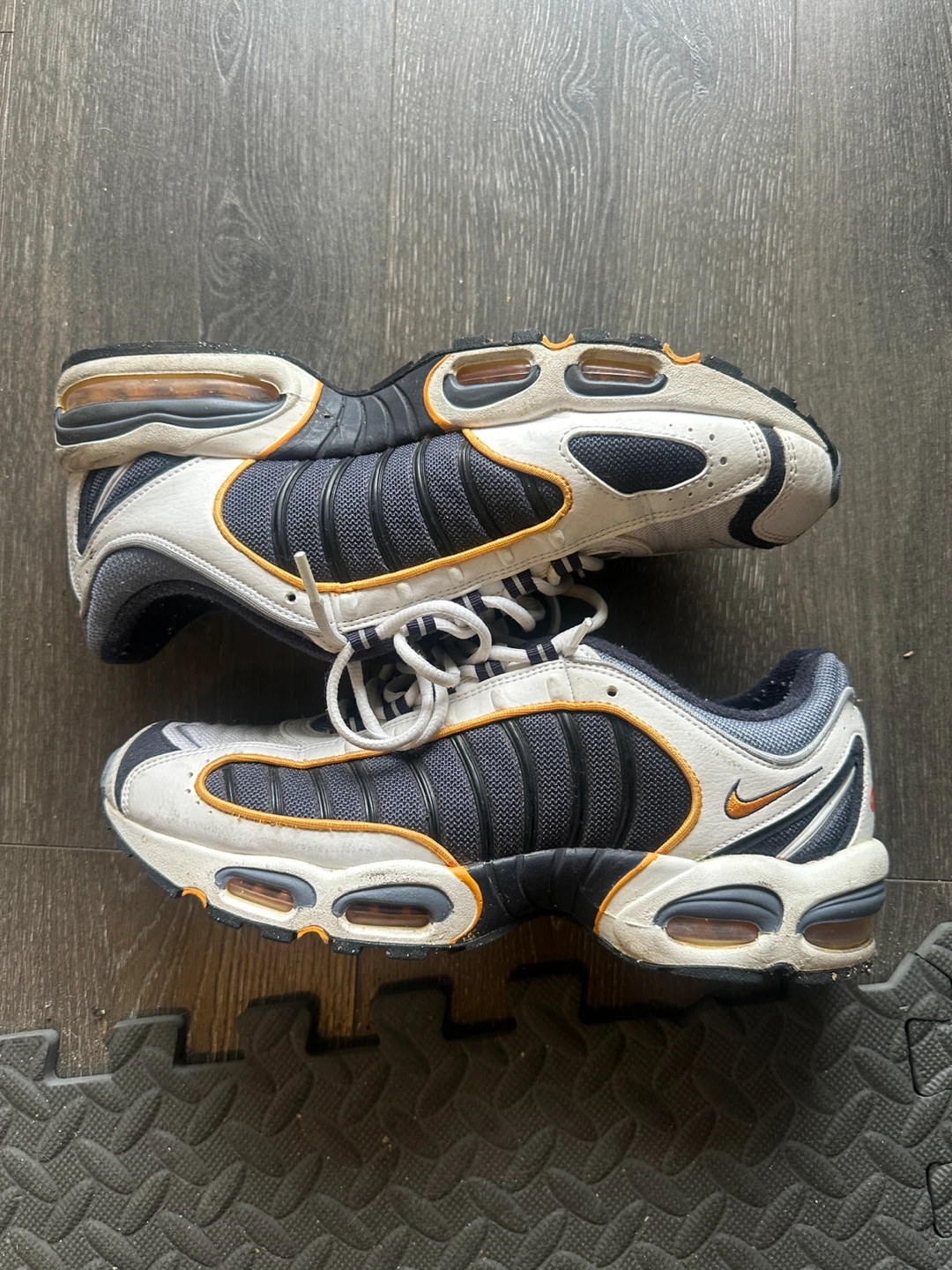 Nike Air Max Tailwind IV Shoes