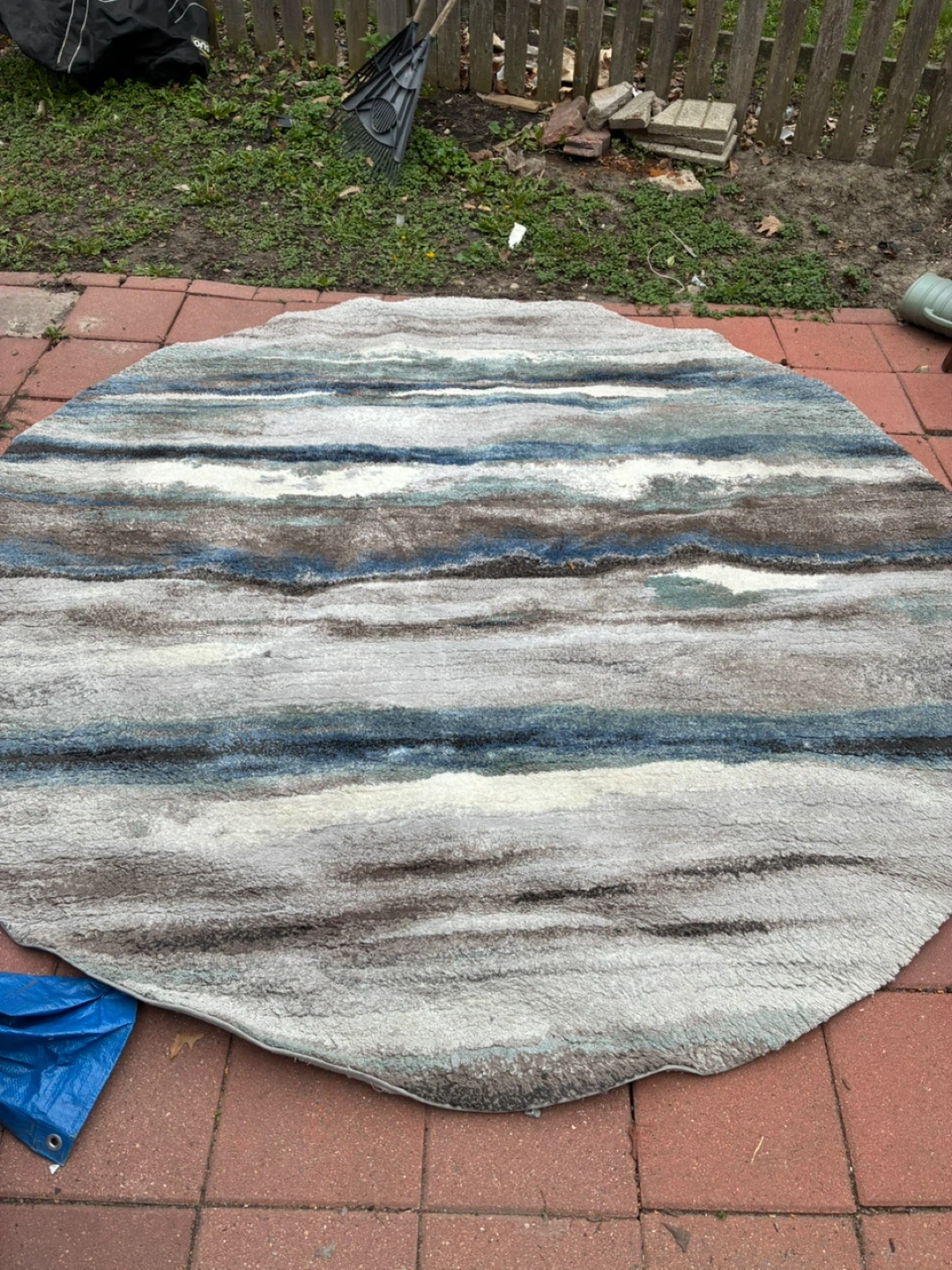 Showroom area rug