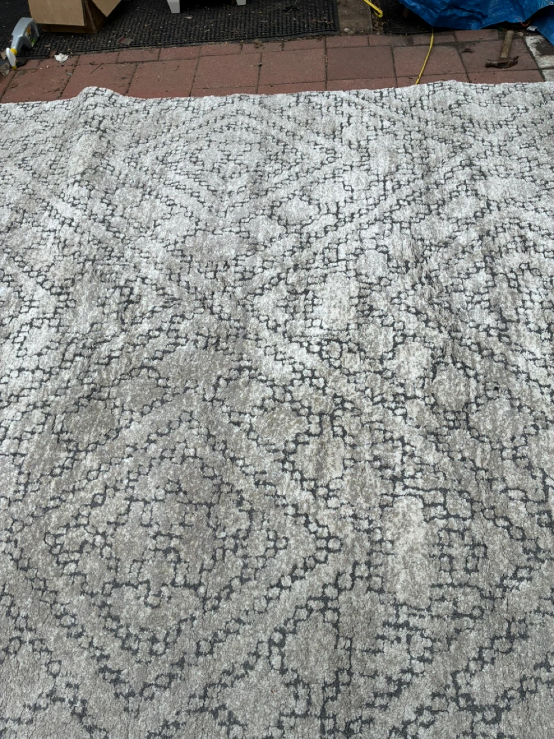 Area rug - photo 3
