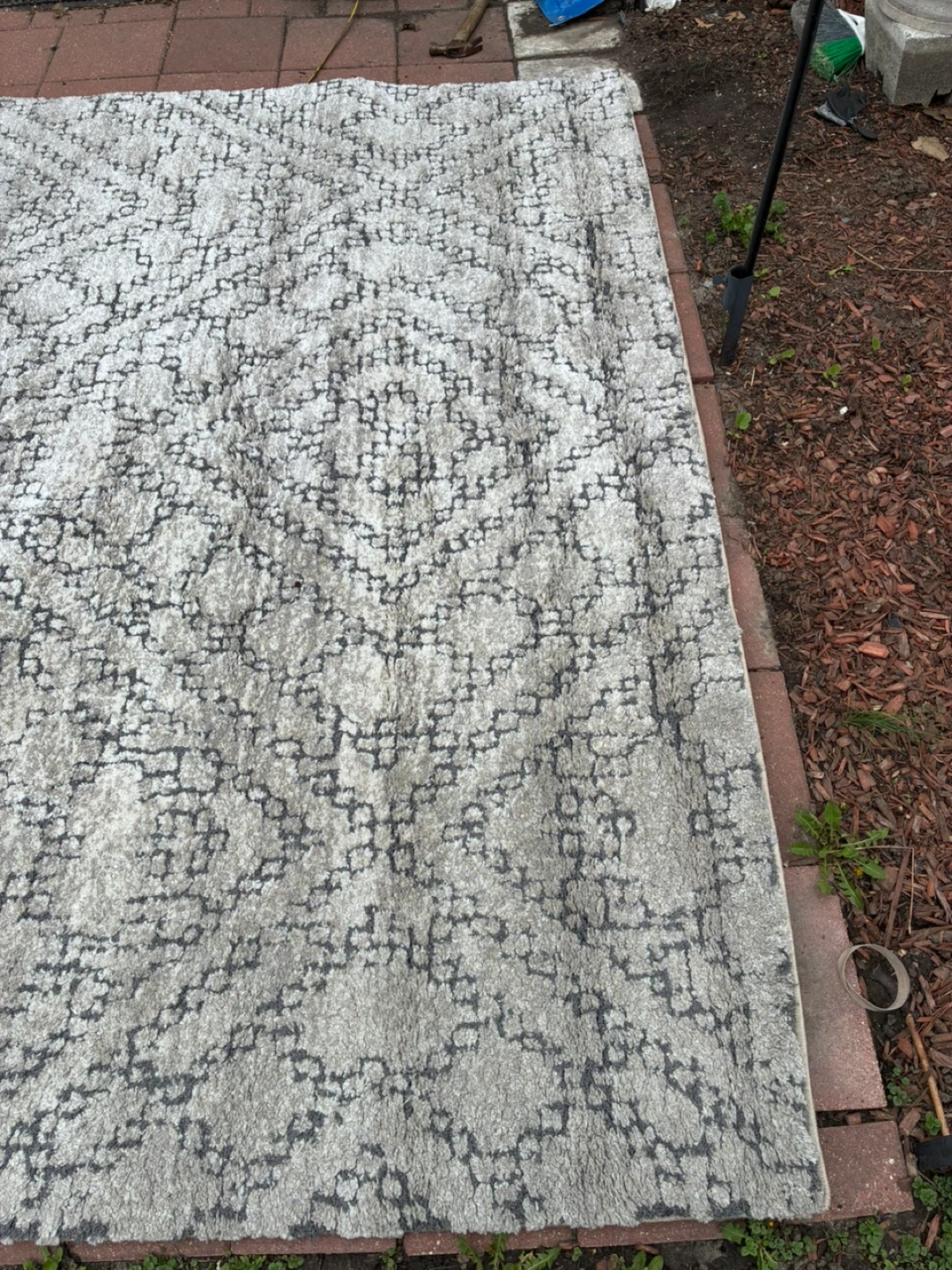 Area rug - photo 2
