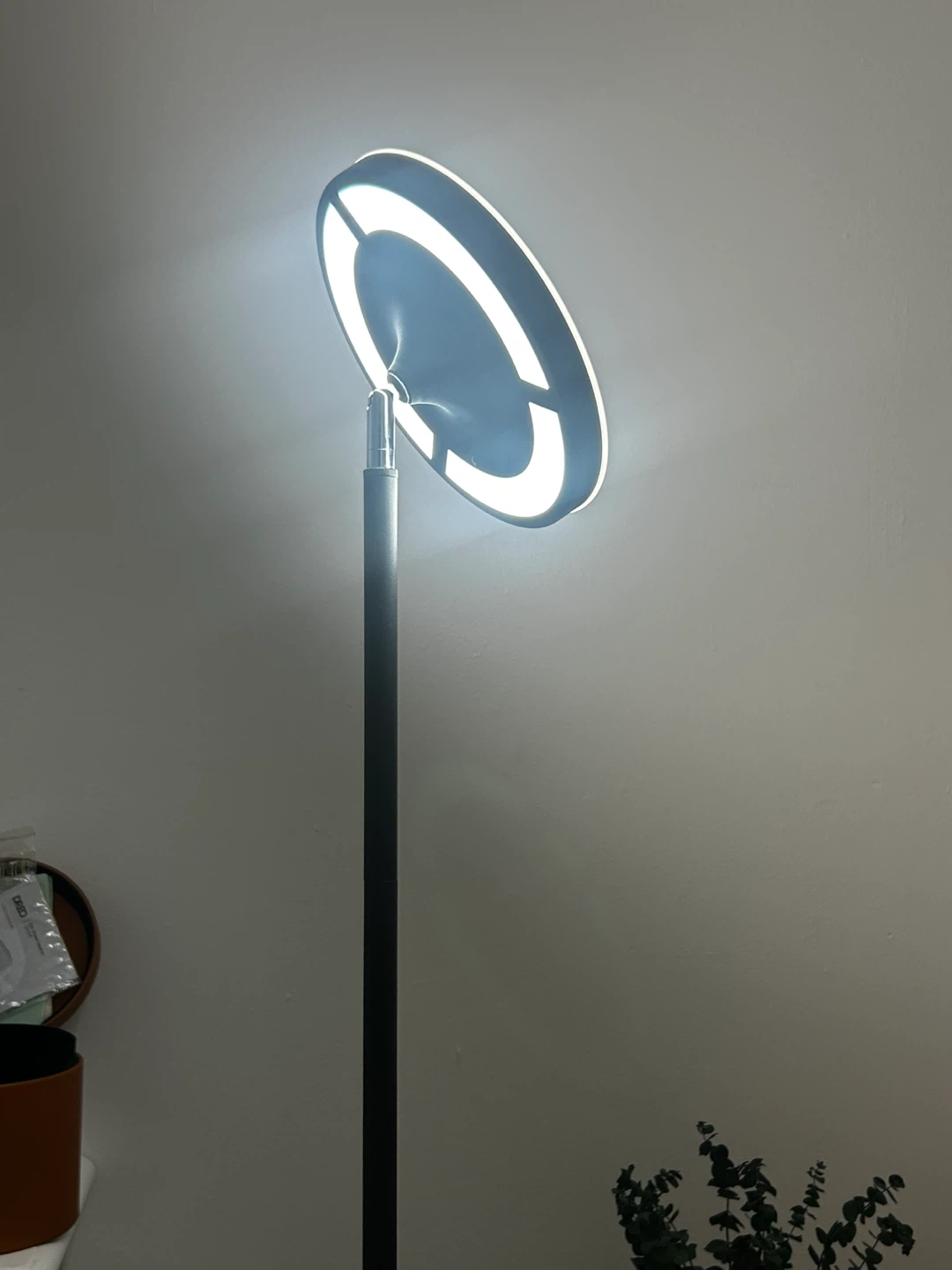 69" Standing LED Floor Lamp with Remote Control - photo 3