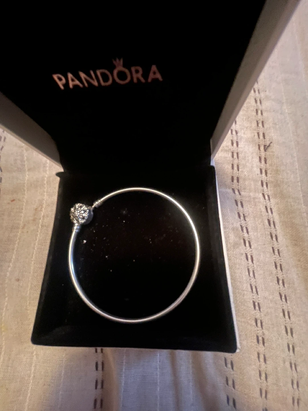 Pandora Sterling Silver Charm Bracelet