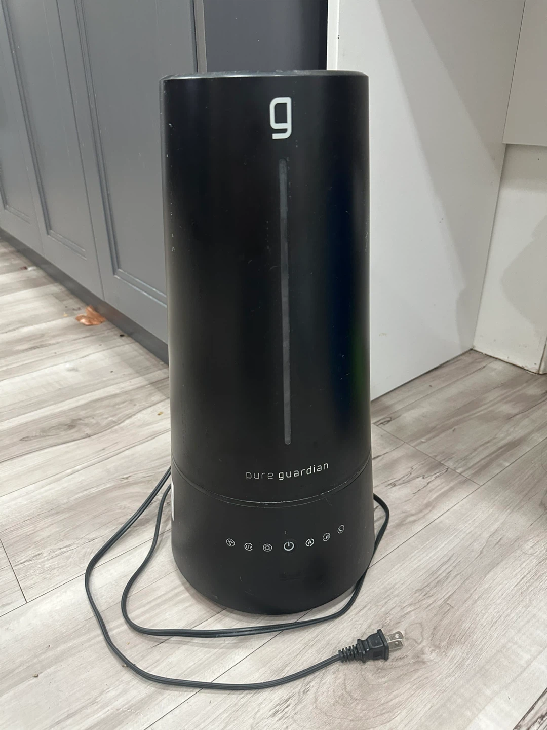 Pure Guardian Humidifier