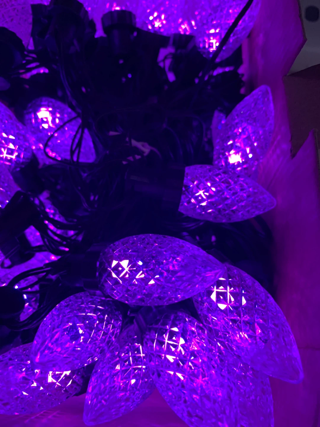 Colourful C7 String Lights, 65 ft - photo 3