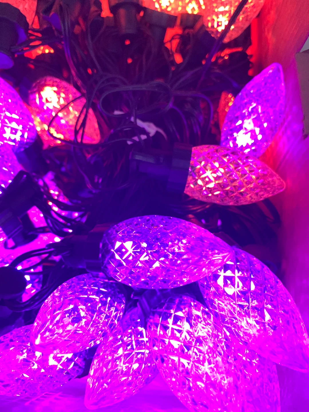 Colourful C7 String Lights, 65 ft - photo 5