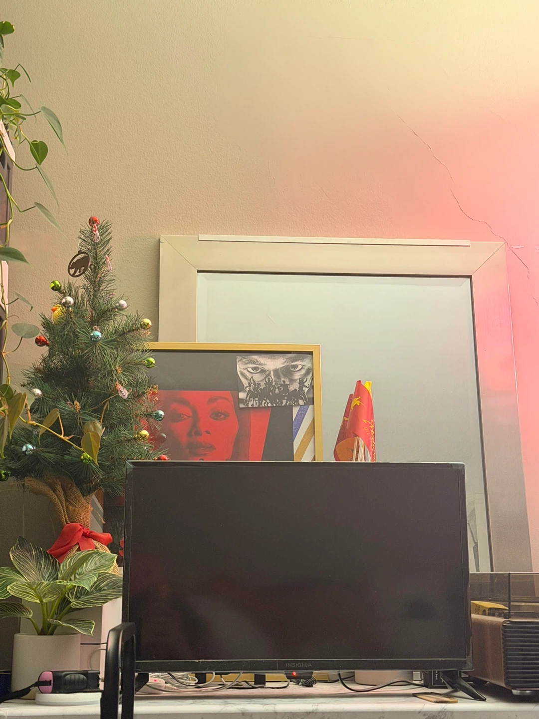 Insignia Flat Screen TV. 24 FIRE TV - photo 2