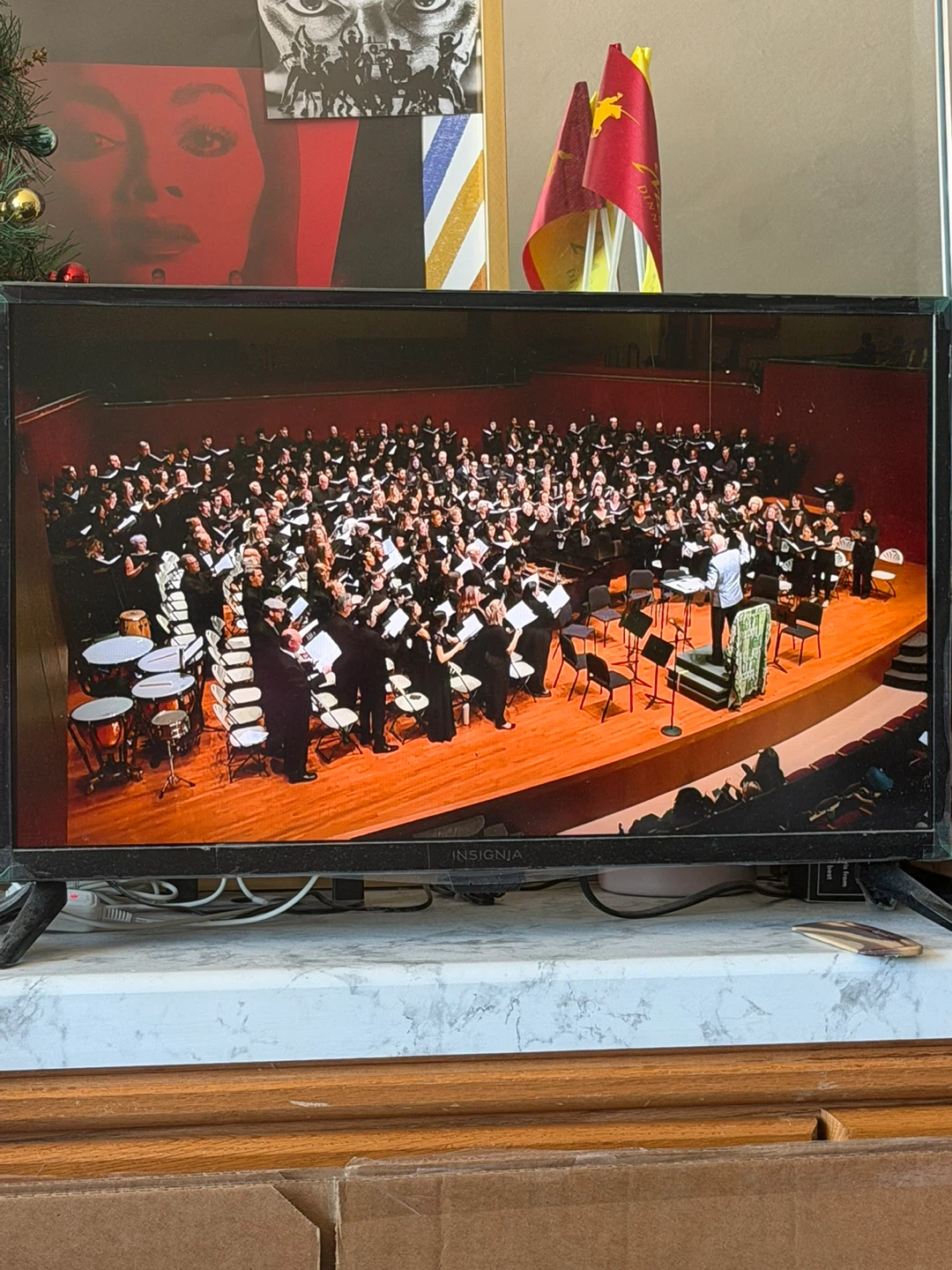 Insignia Flat Screen TV. 24 FIRE TV