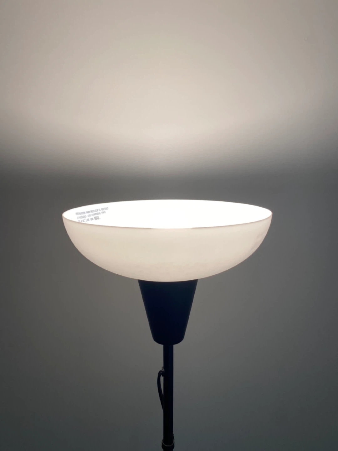 Black Floor Lamp with Frosted Shade