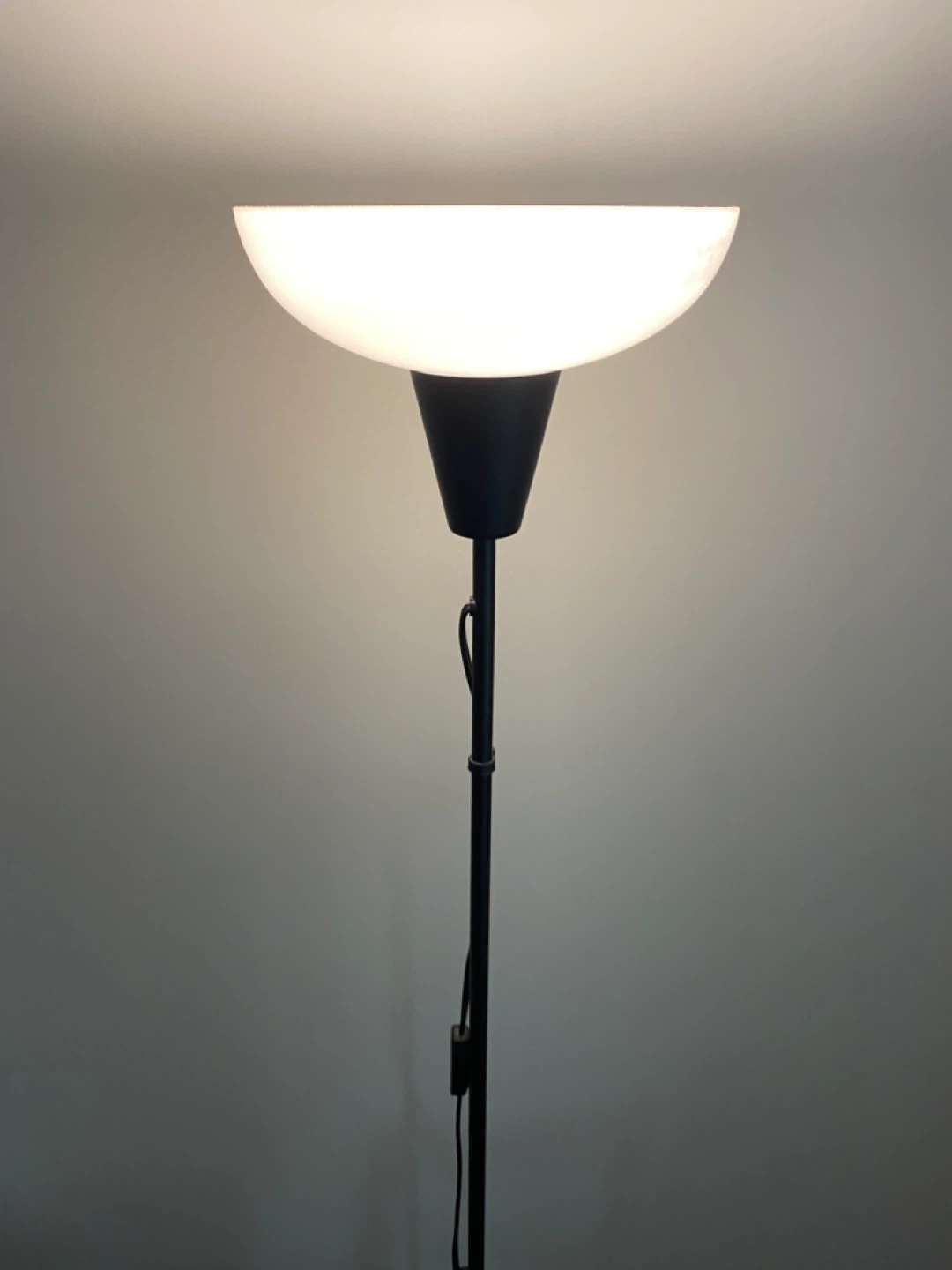 Black Floor Lamp with Frosted Shade - photo 2