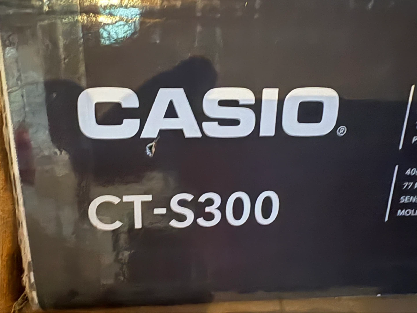 Casio CT-S300 Casiotone Keyboard with Music Stand - photo 3