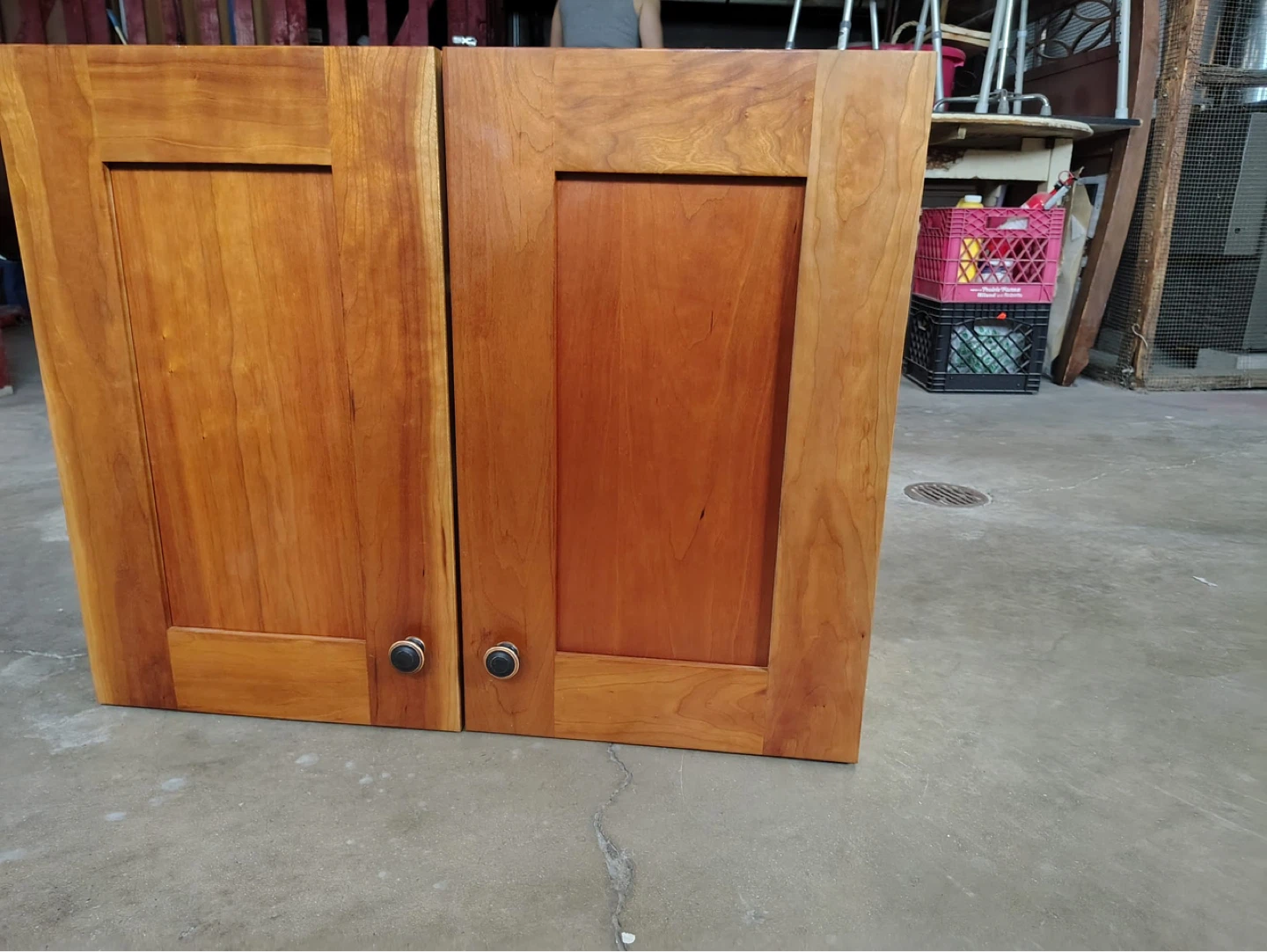 Wooden Cabinet with Two Doors