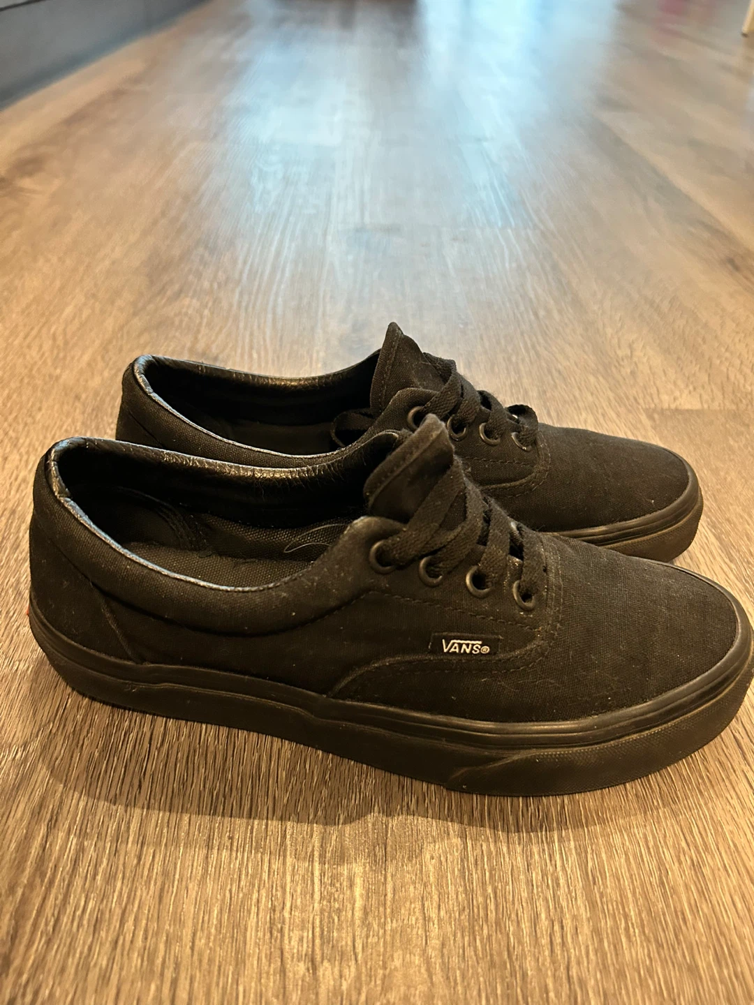 Vans Era Black Canvas Skate Shoes