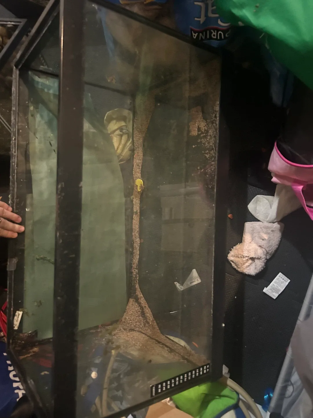 Fish tanks