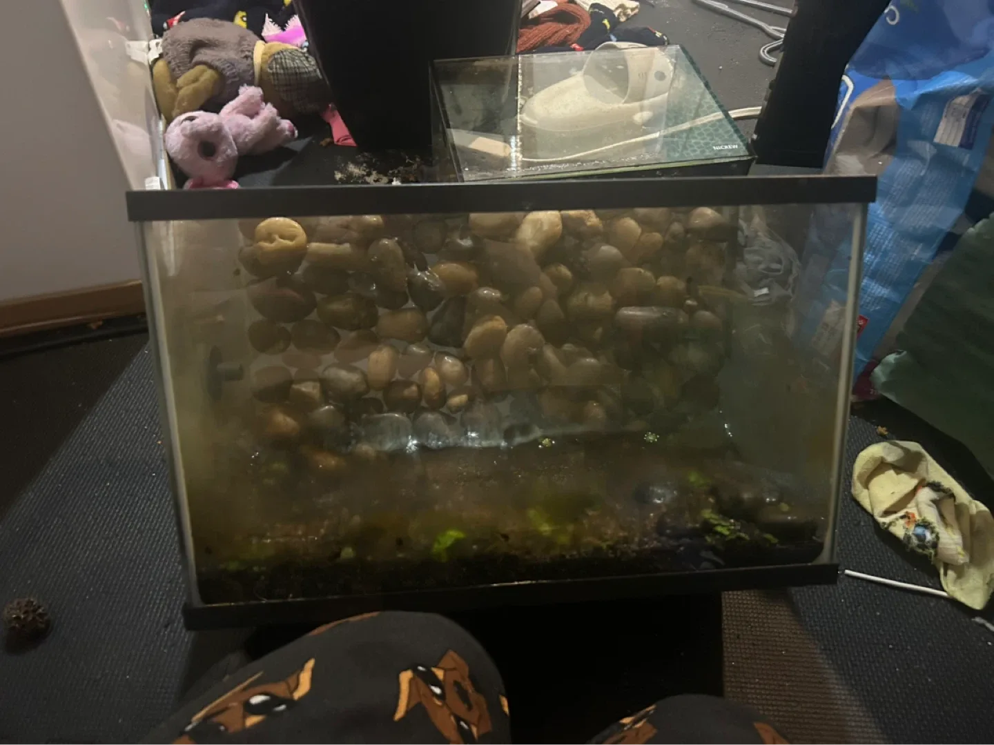 Fish tanks - photo 3
