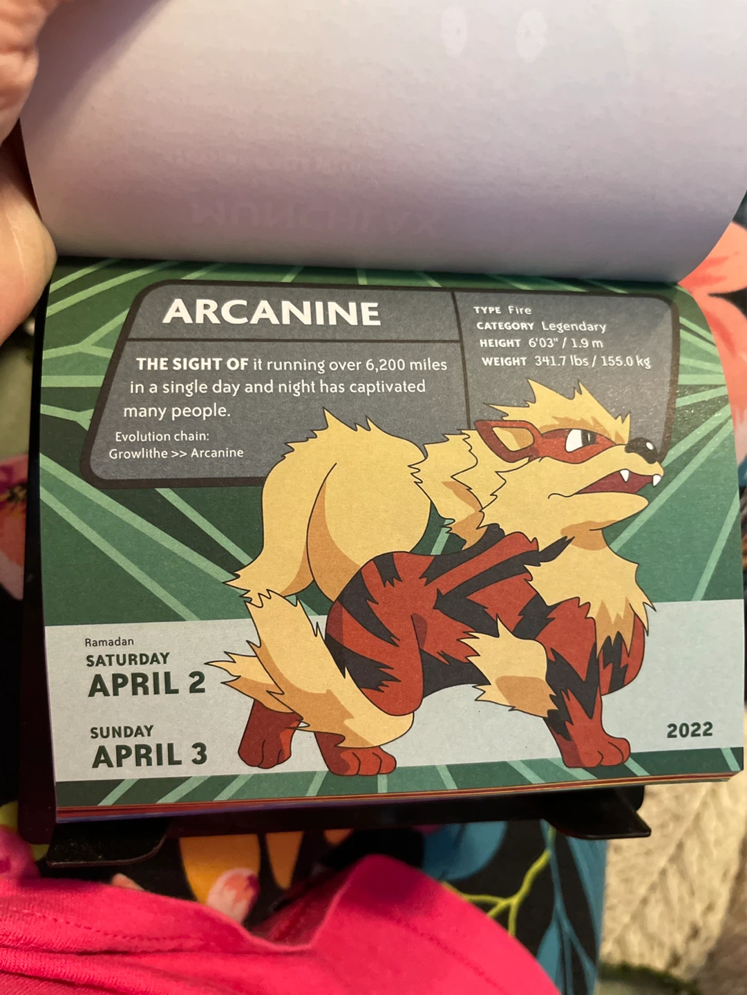 2022 Pokemon Desk Calendar - photo 2
