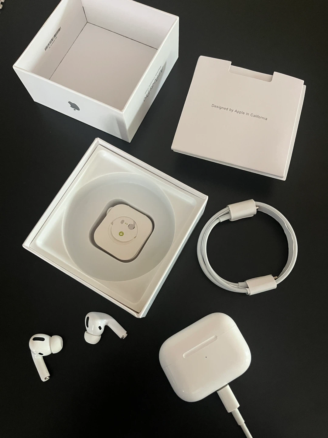 Apple AirPods Pro (1st Generation)