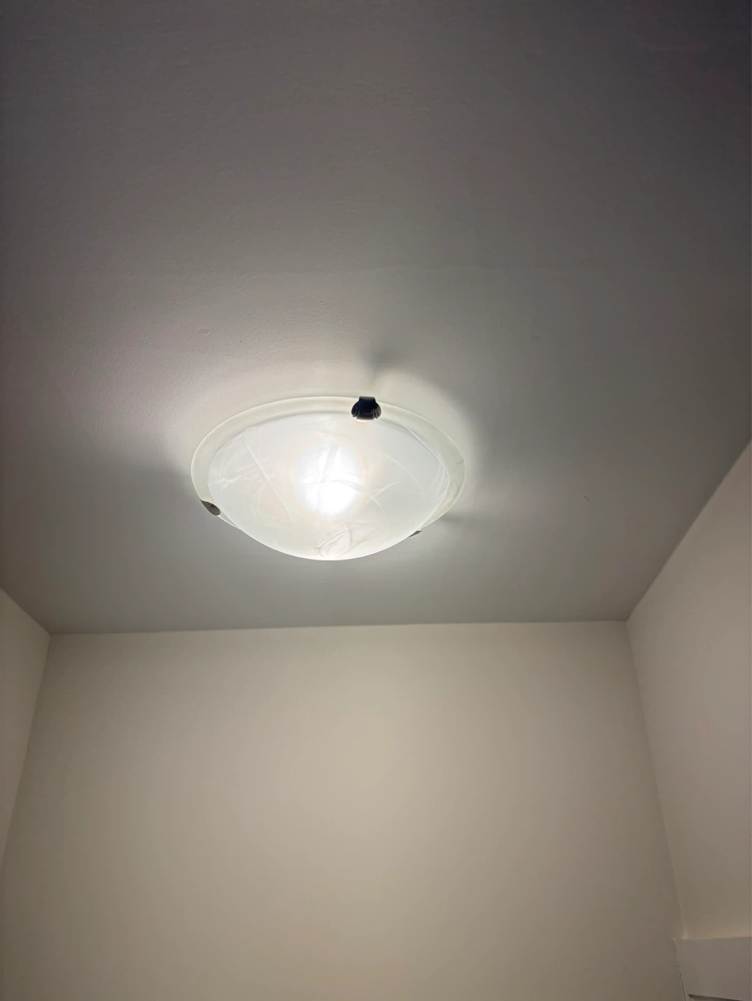 Flush Mount Ceiling Light Fixture - photo 2