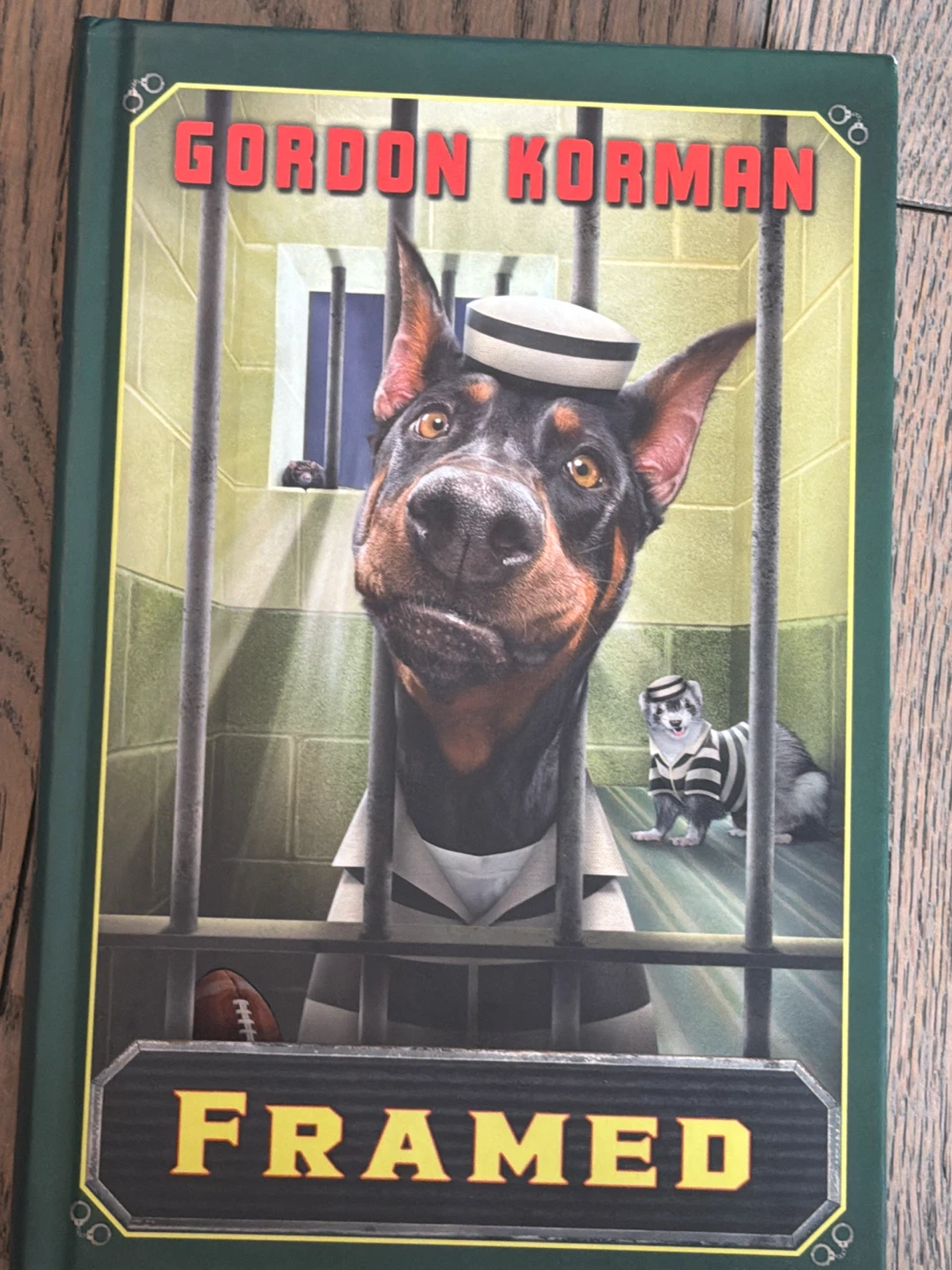 Framed by Gordon Korman 🌱