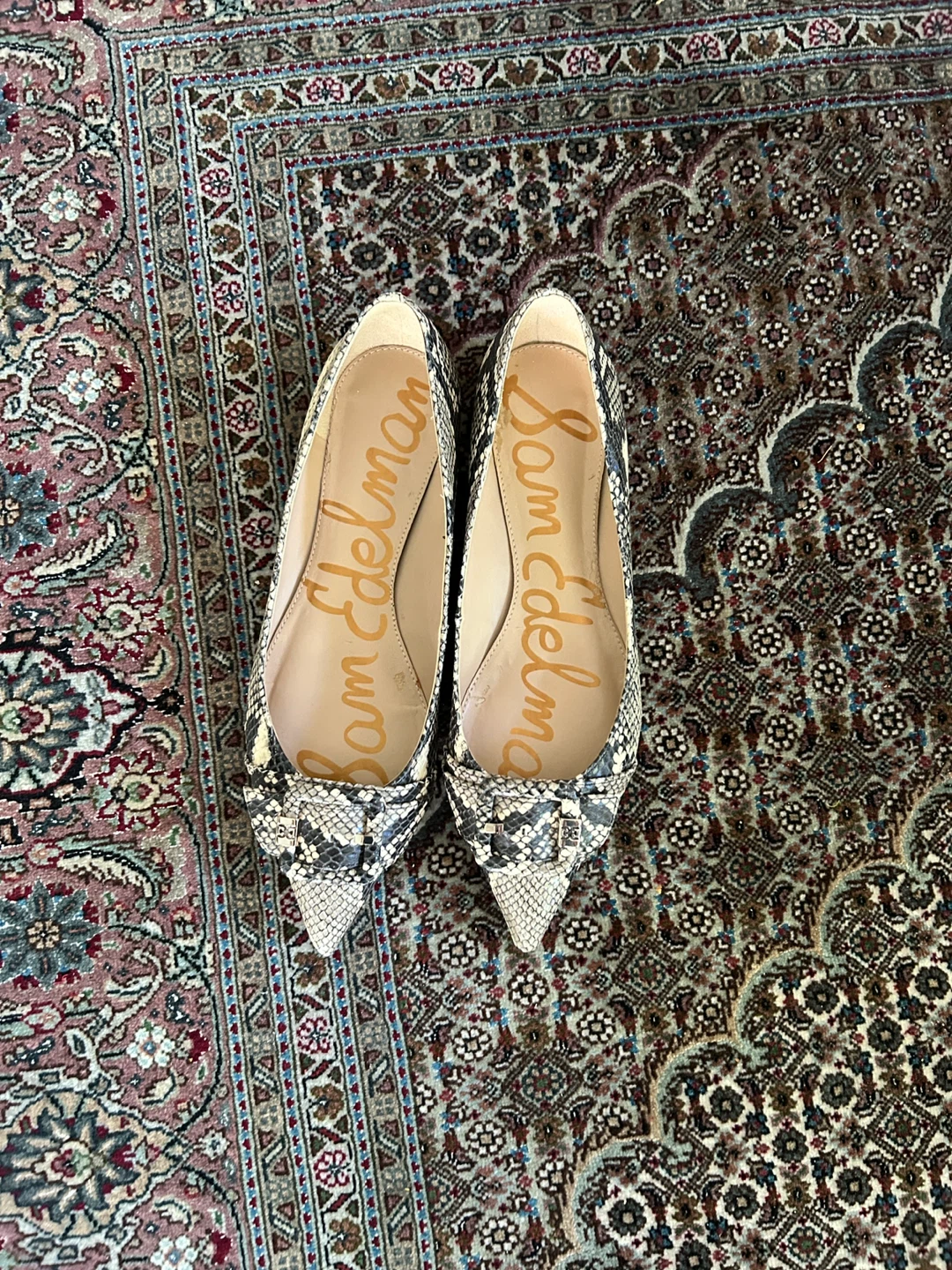 Sam Edelman Snake Print Pointed Toe Flats Size 10
