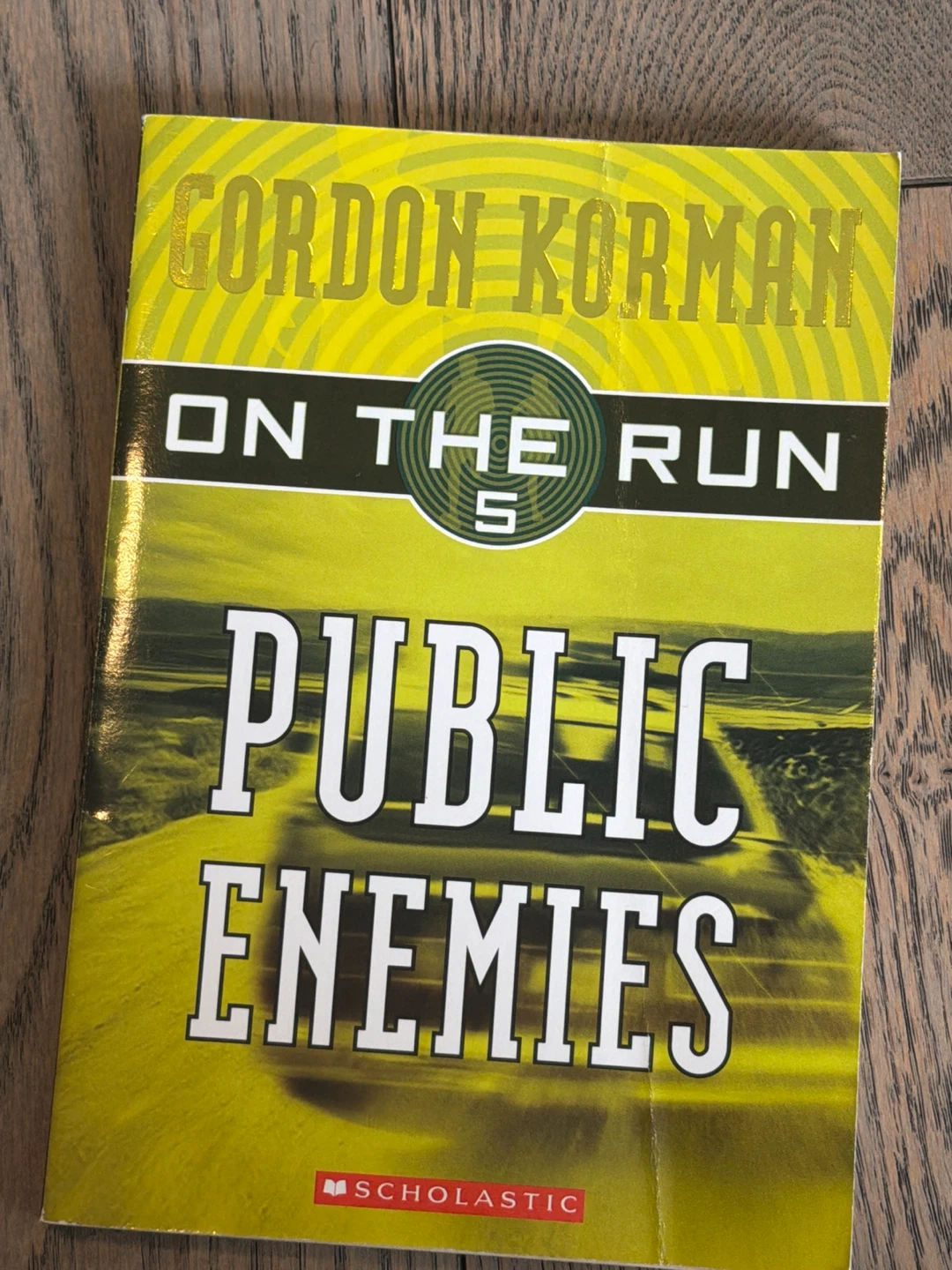 Gordon Korman Public Enemies Book 5 On The Run🌱