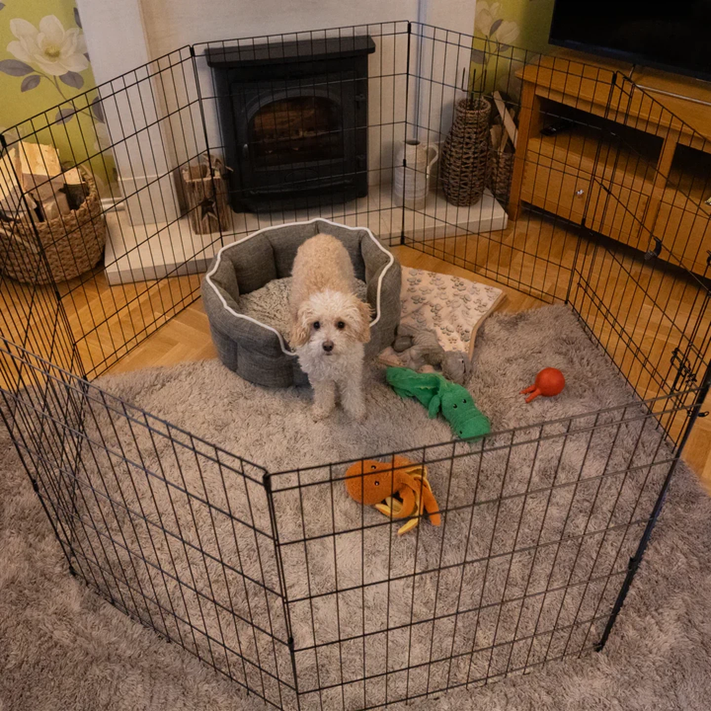 Octagon Pet Playpen