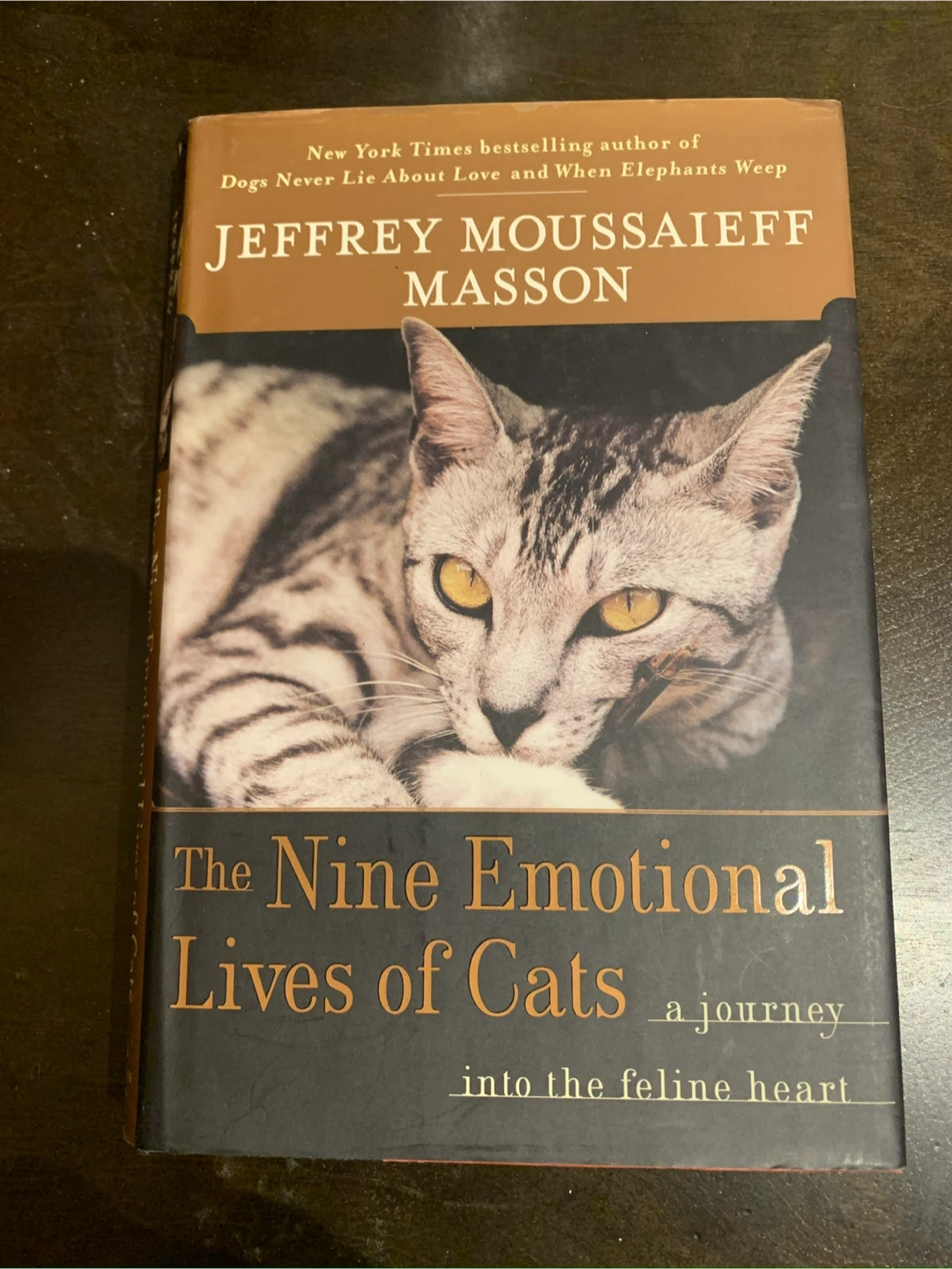 The Nine Emotional Lives of Cats by Jeffrey Moussaieff Masson