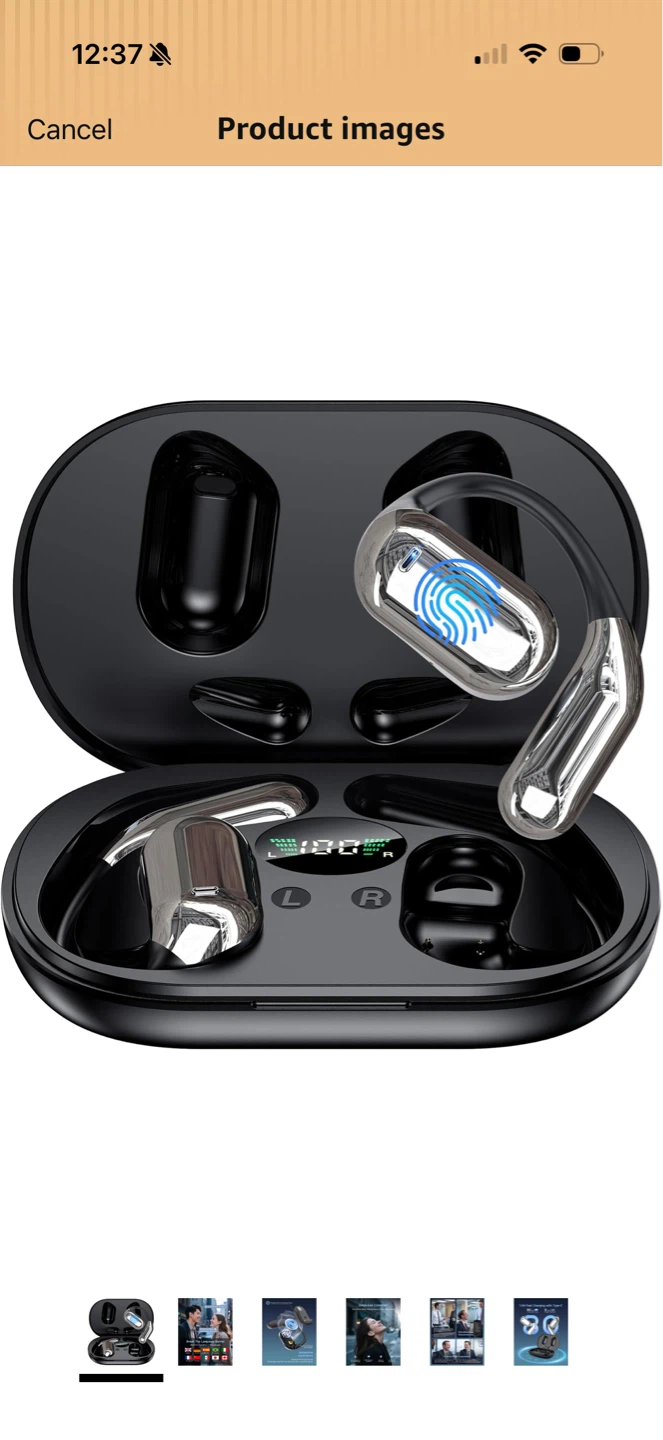 Brand New AI Translation Earbuds